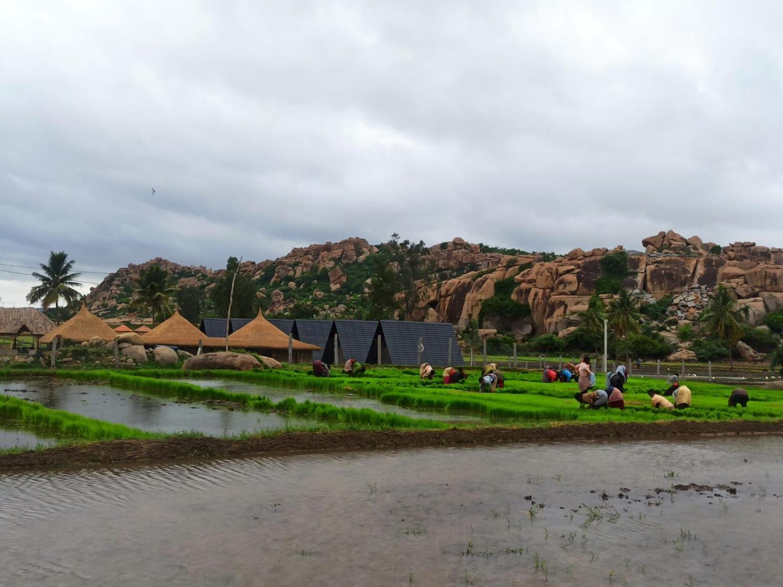 Golden Chariot Resort Hampi Exterior foto